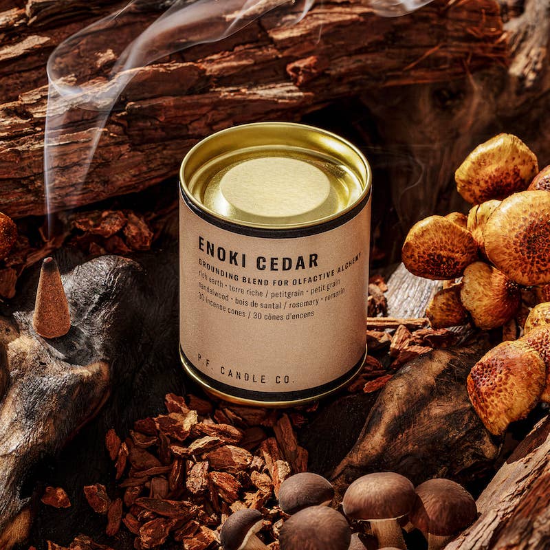 Alchemy - Incense Cones -Enoki Cedar