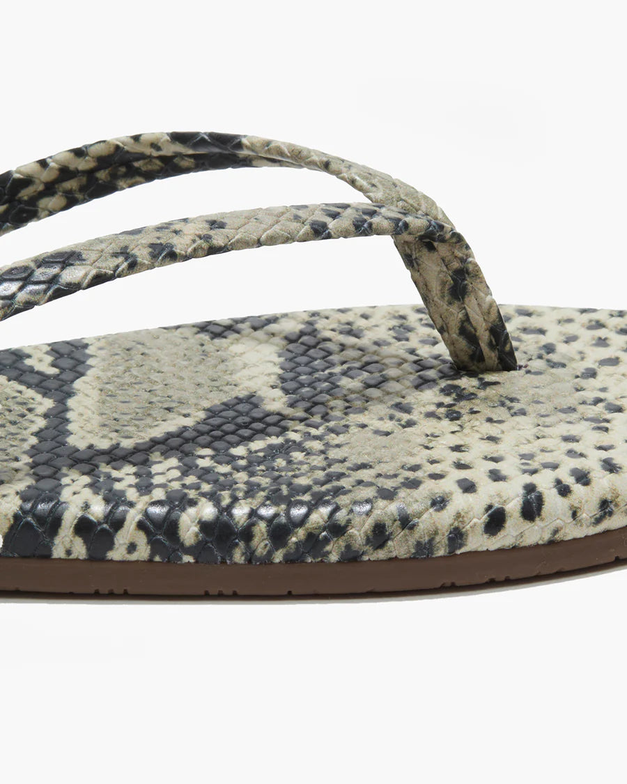 Tkees - Sandsnake