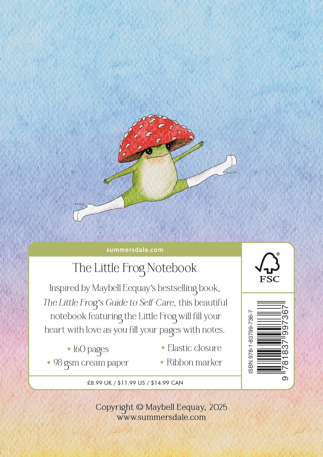The Little Frog Notebook