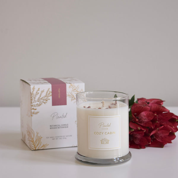 Planted - Cozy Cabin