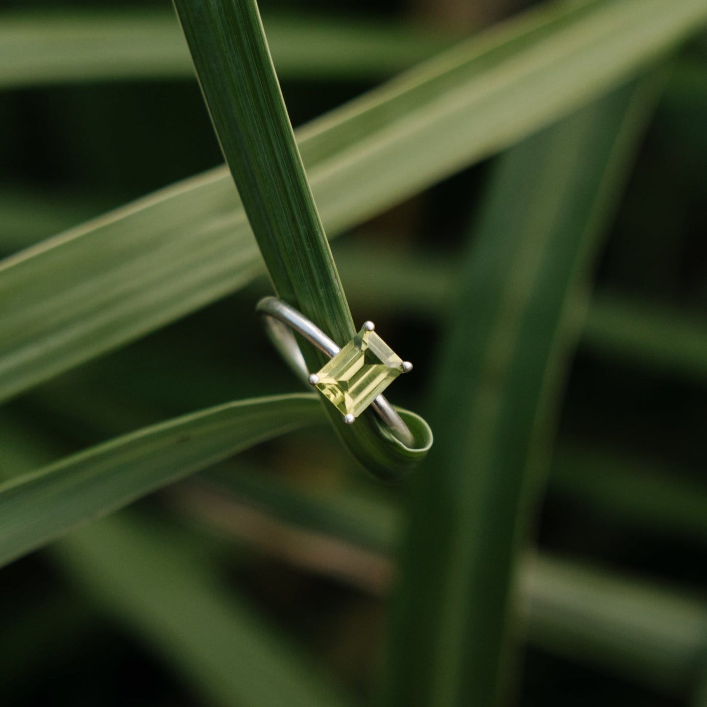 Lisa Fletcher - Ophelia Sterling Silver Ring - Peridot