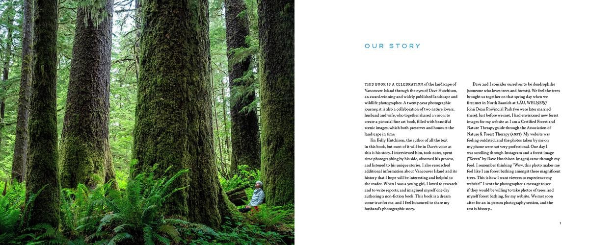 Vancouver Island The Art of the Landscape