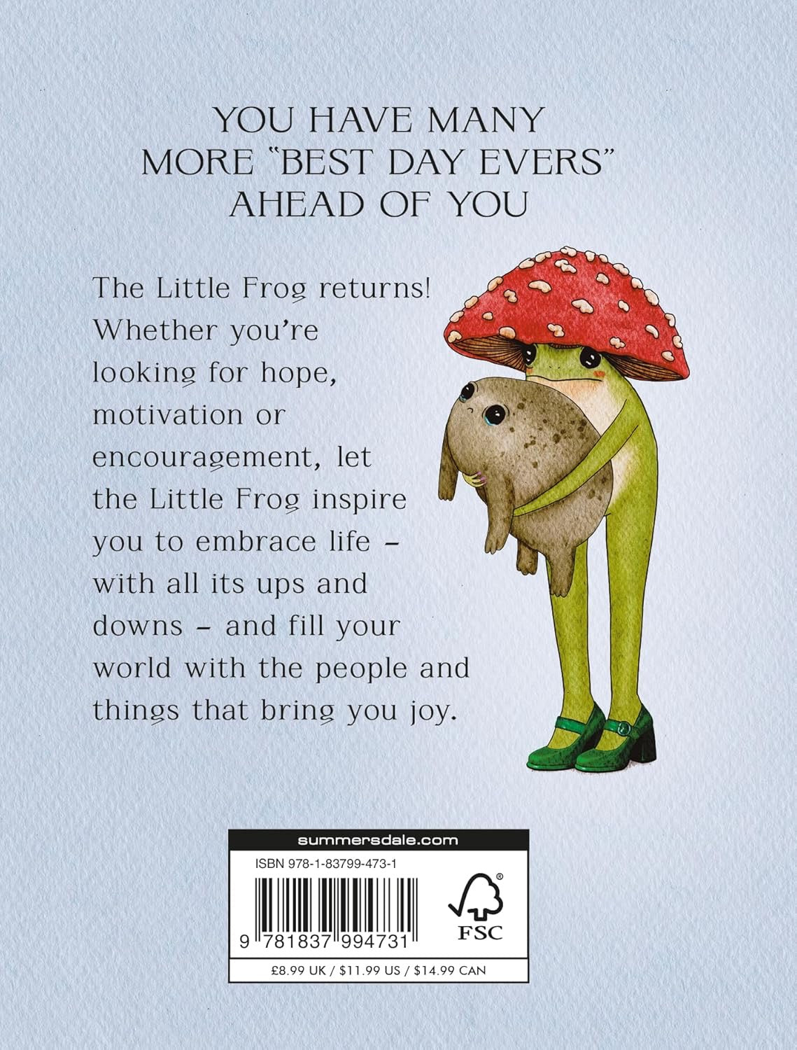 The Little Frog's Guide to Life: Love, Advice and Inspiration for Every Day