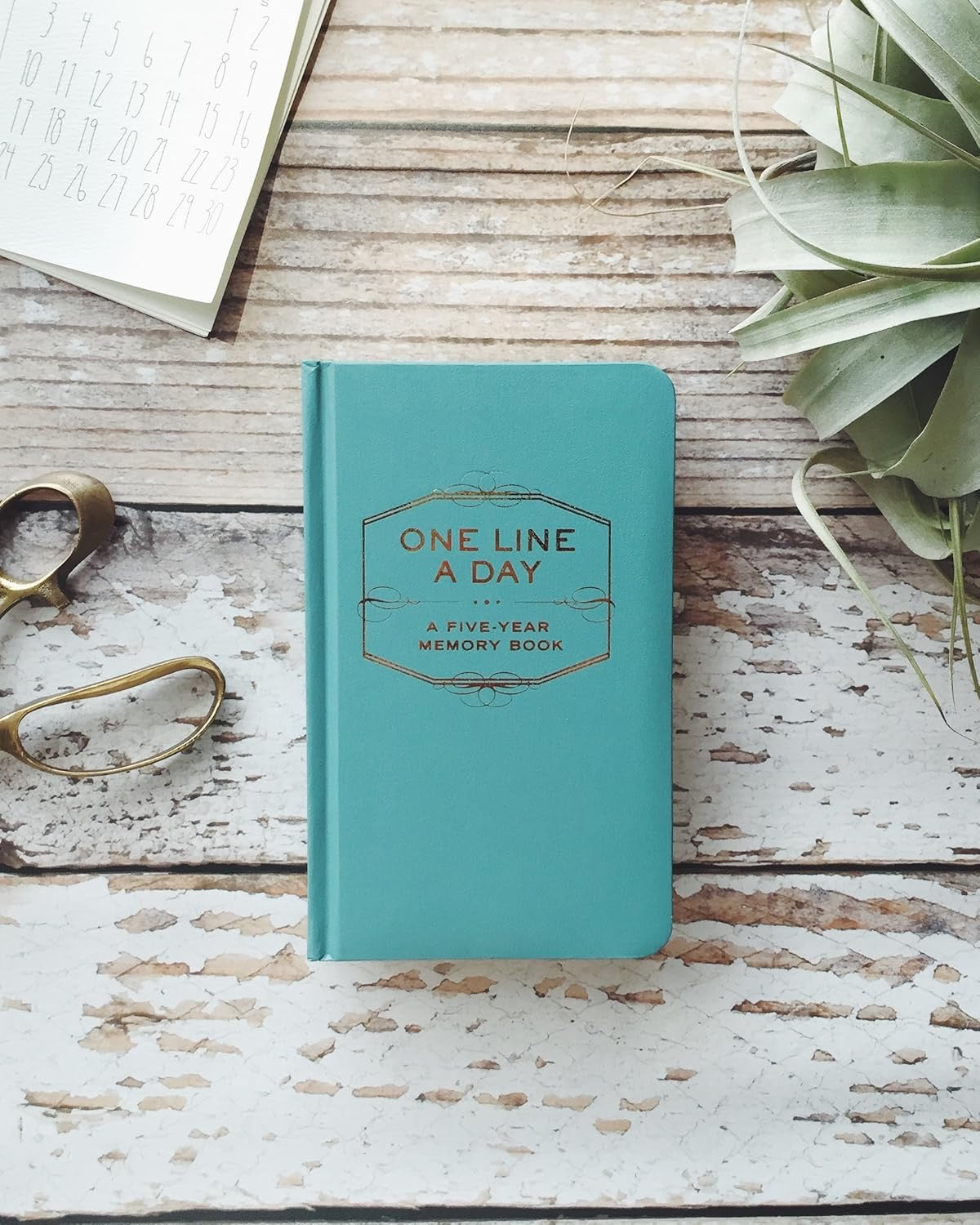 One Line a Day A Five-Year Memory Book