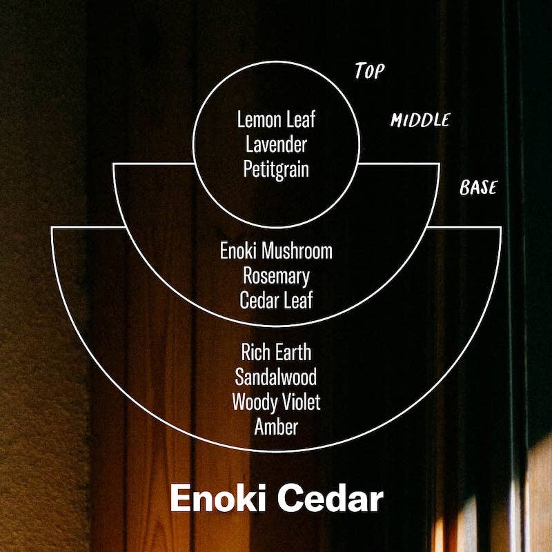 Alchemy - Diffuser - Enoki Cedar