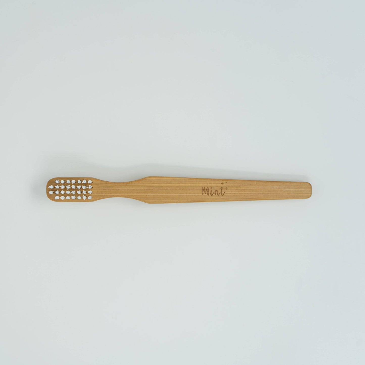 Cleaning Brush
