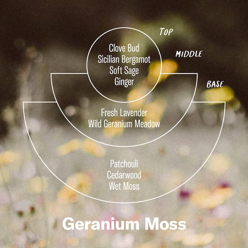 Alchemy - Incense Cones - Geranium Moss