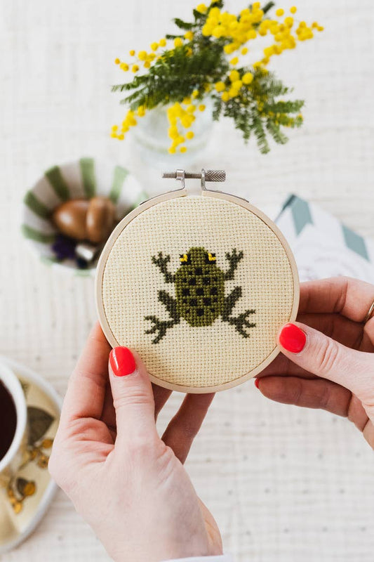Cross Stitch Kit - Frog