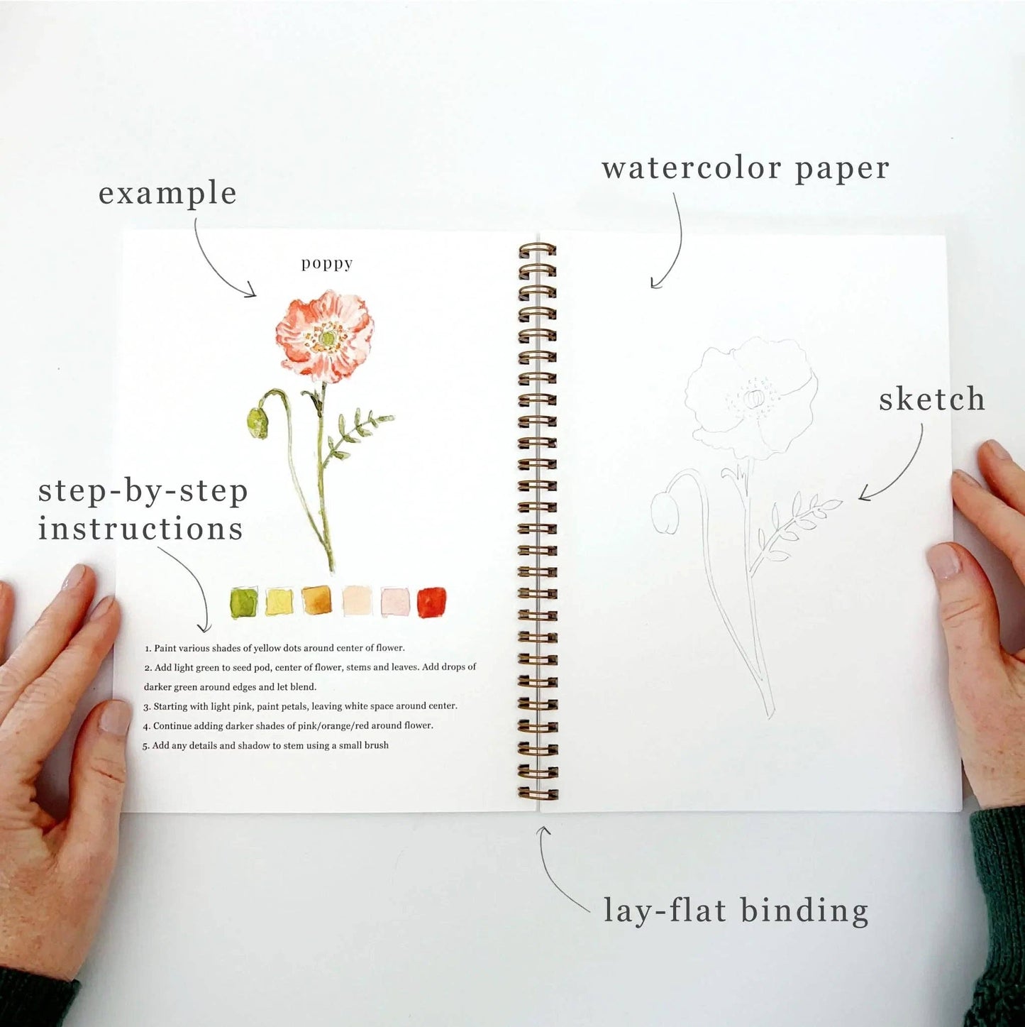 Watercolor Workbook - Flowers