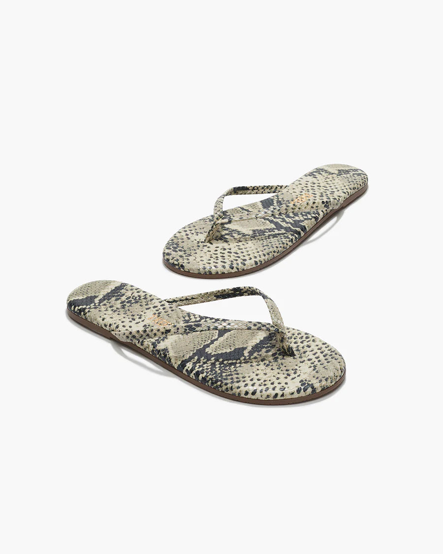 Tkees - Sandsnake