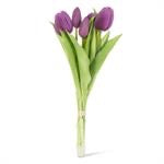 5 Stem Tulip Bunch