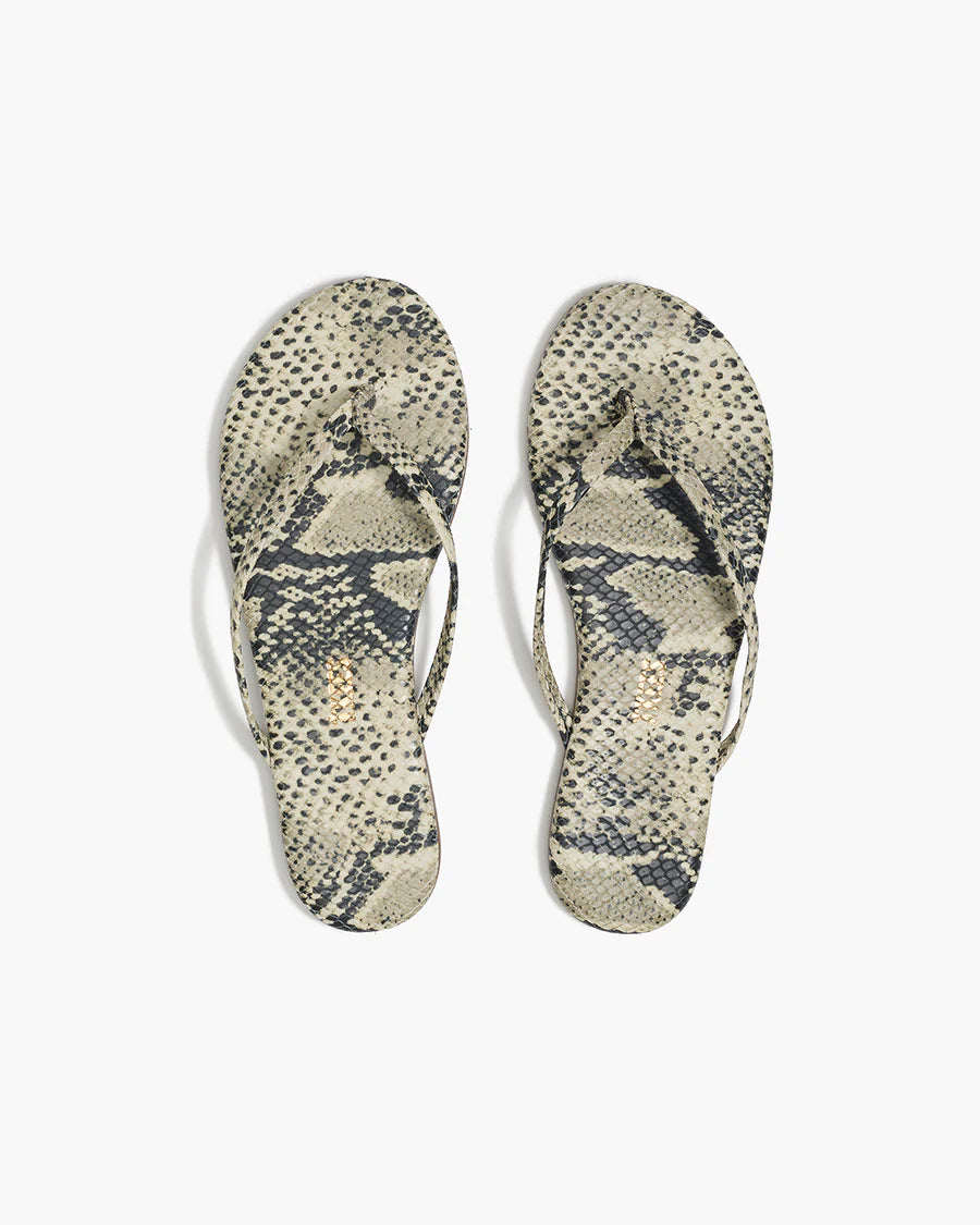 Tkees - Sandsnake