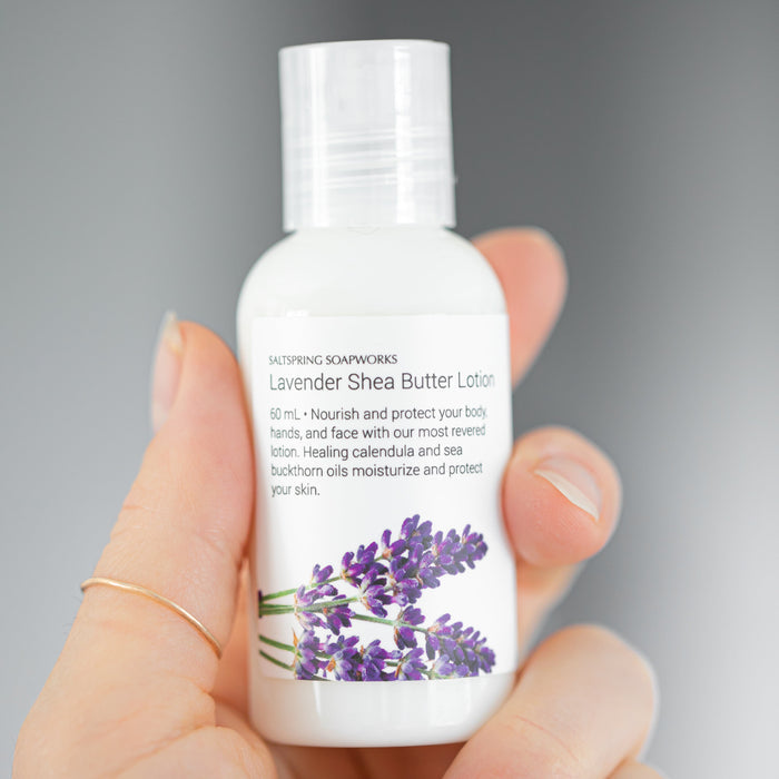 Lavender Shea Butter Lotion (Travel Size)