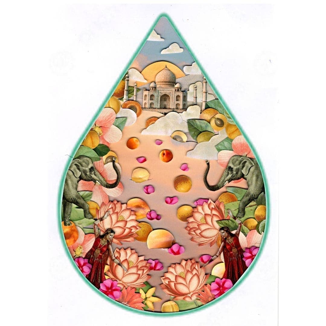 WOO™ Apricot Oil