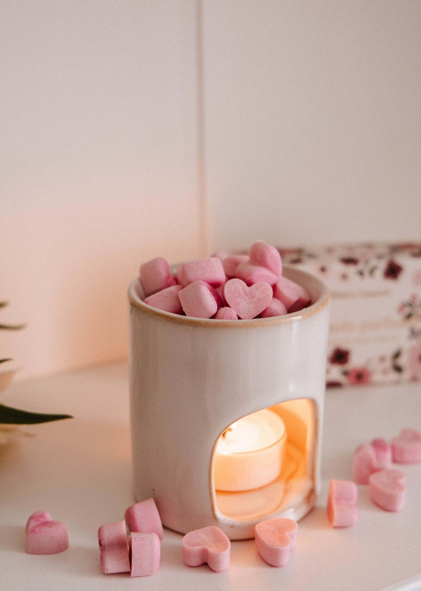 Amore Scented Wax Melts