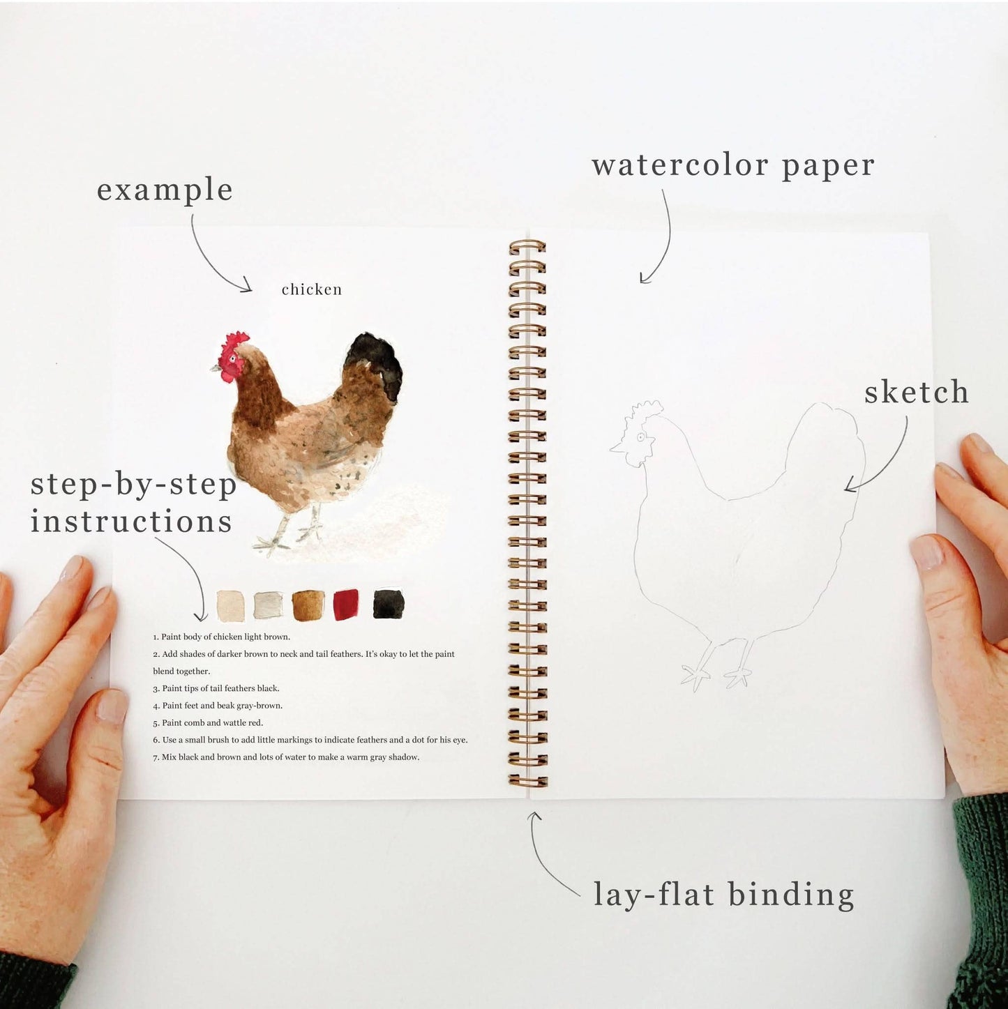 Watercolor Workbook - Animals