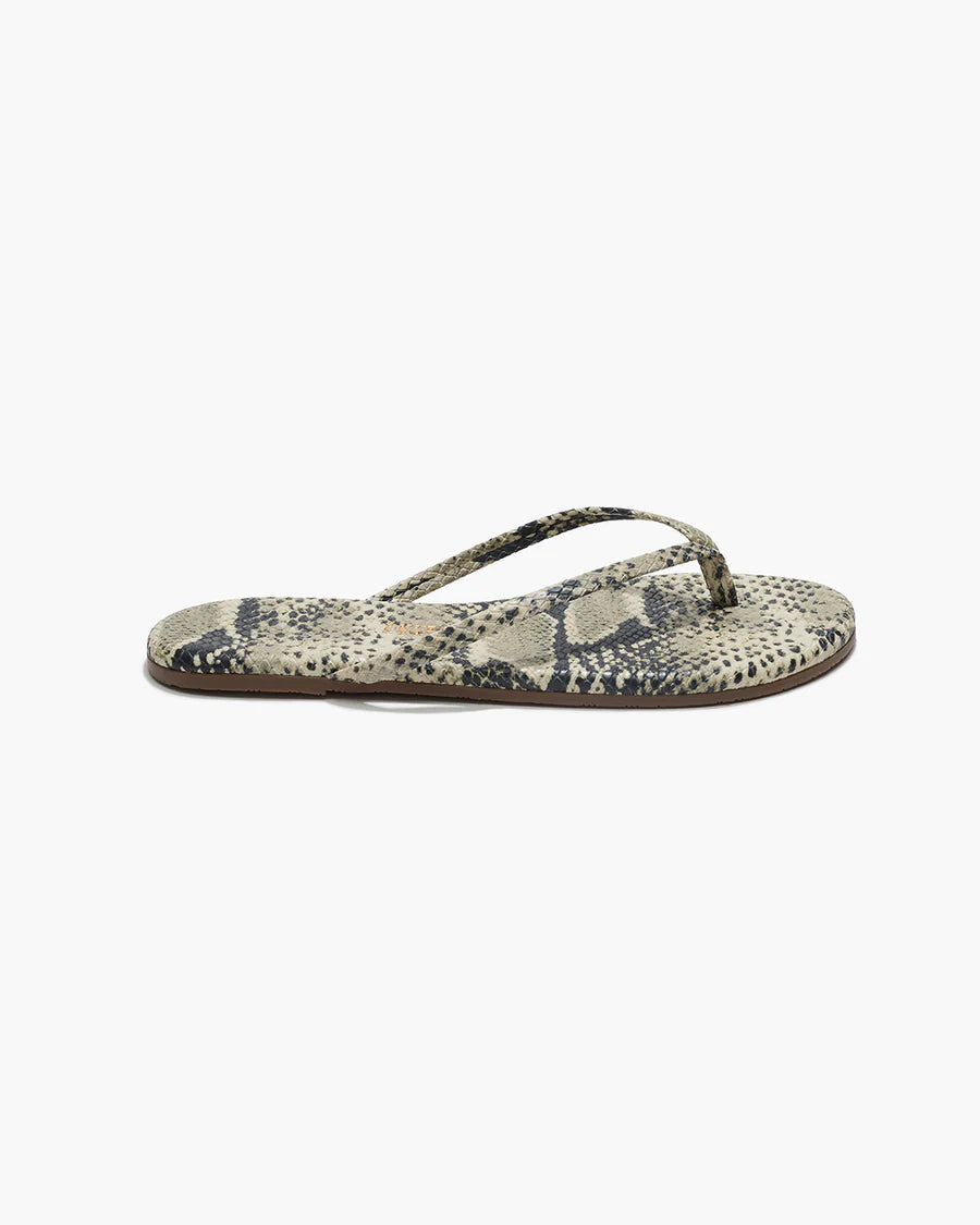 Tkees - Sandsnake