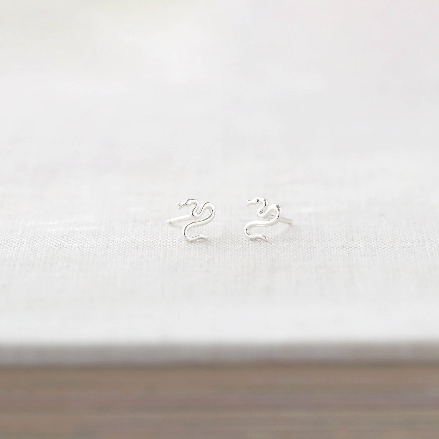 Earrings - Tiny Snake Stud