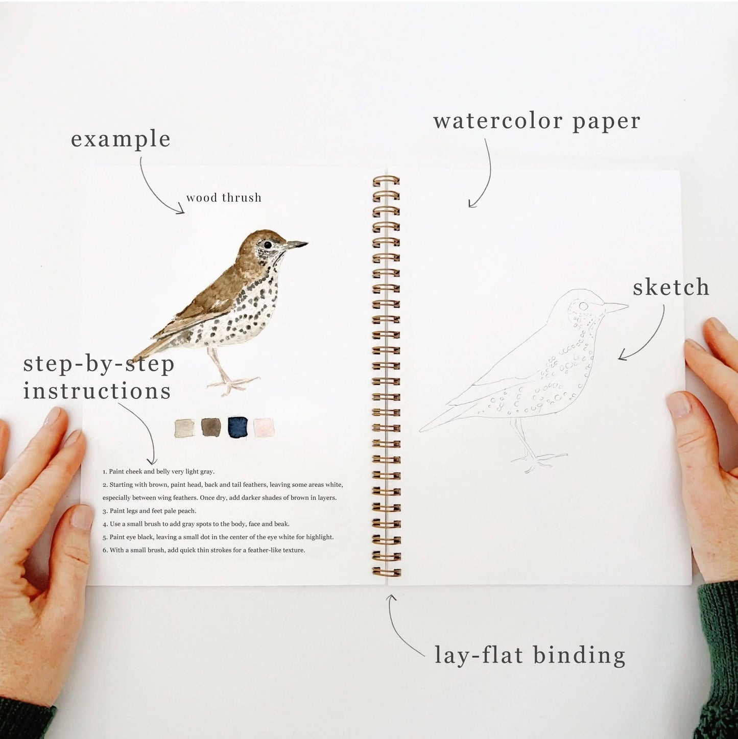 Watercolor Workbook - Birds