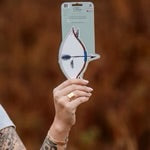 Ravensong - Bow and Arrow Sticker