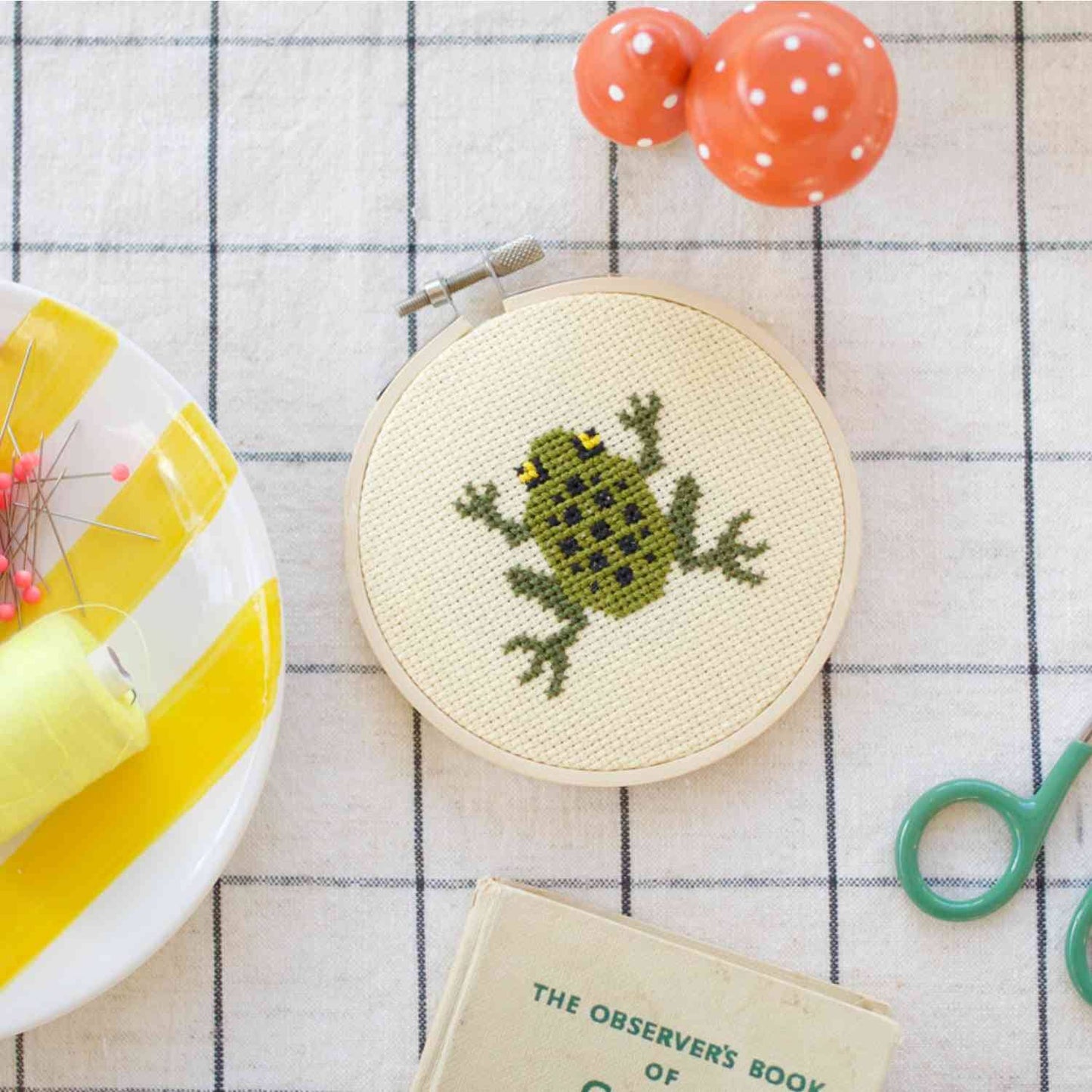 Cross Stitch Kit - Frog