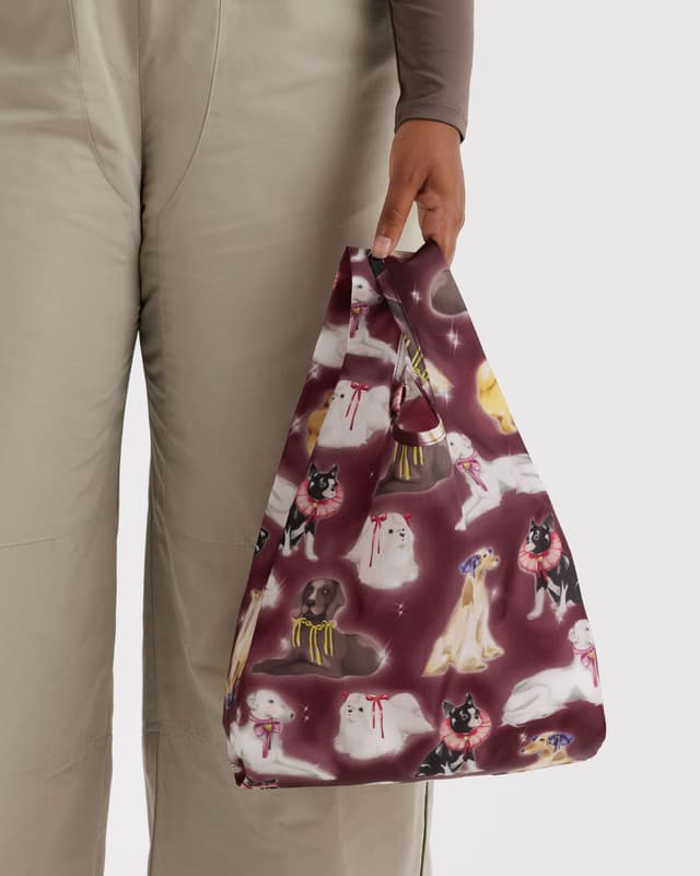 Baby Baggu  Fancy Dogs