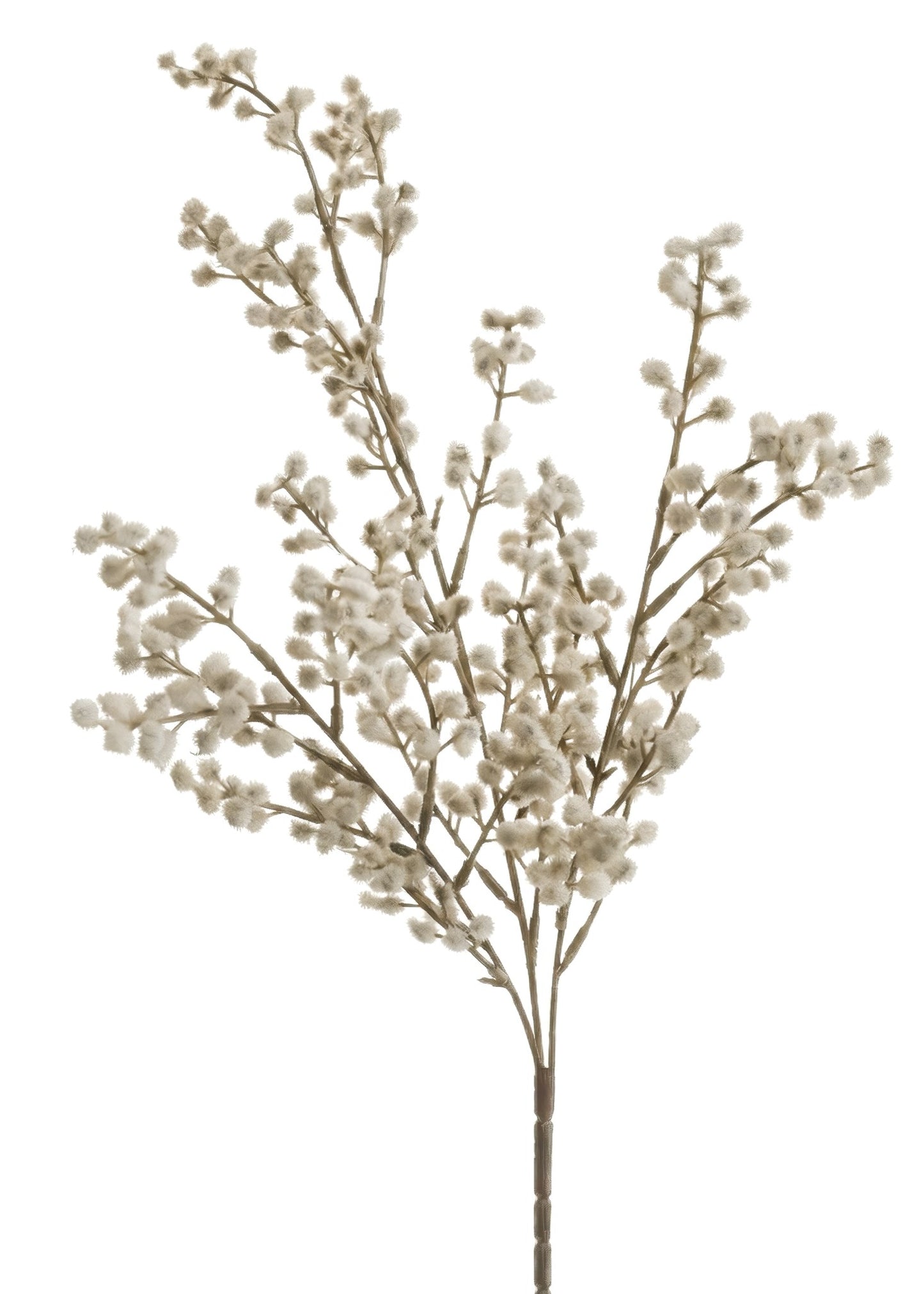 WILLOW BUSH  - BROWN