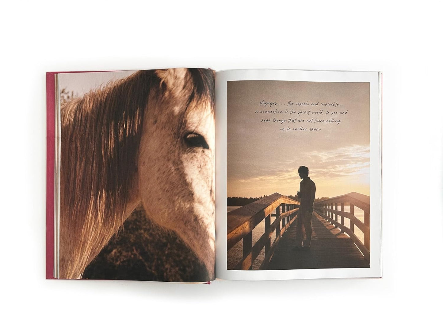 I Love You by Pamela Anderson - SIGNED COPY!