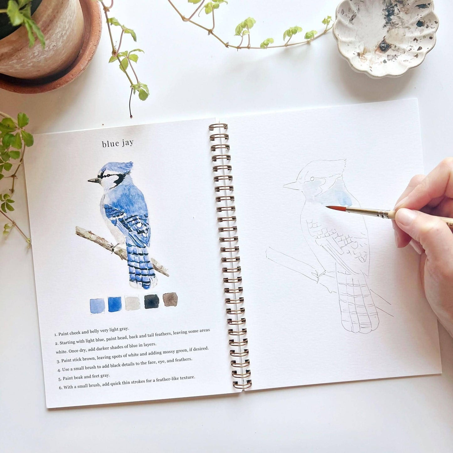Watercolor Workbook - Birds